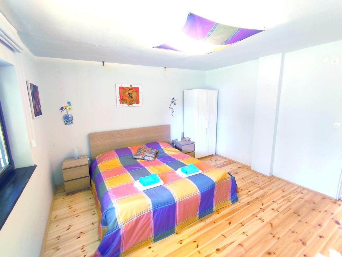 Apartments Eco Forest Resort Rakovica Eksteriør bilde