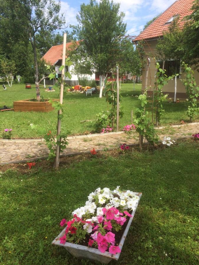 Apartments Eco Forest Resort Rakovica Eksteriør bilde