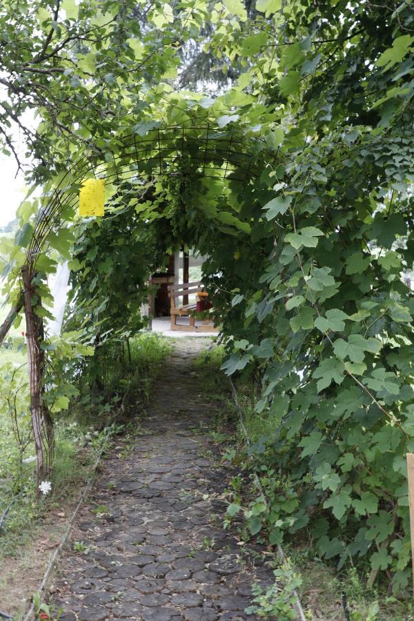 Apartments Eco Forest Resort Rakovica Eksteriør bilde